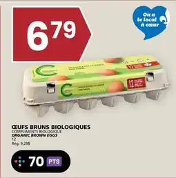 Rachelle-Bery Grocery COMPLIMENTS BIOLOGIQUE ORGANIC BROWN EGGS offer