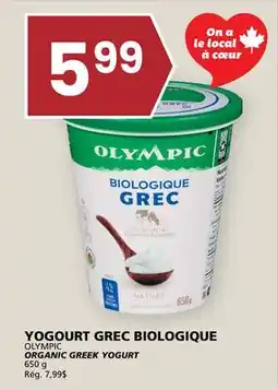Rachelle-Bery Grocery OLYMPIC ORGANIC GREEK YOGURT offer
