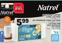 Marché Bonichoix Natrel LACTOSE-FREE MILK BEVERAGE OR CHEESE offer