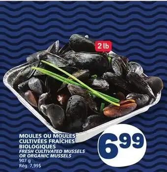 Marché Bonichoix FRESH CULTIVATED MUSSELS OR ORGANIC MUSSELS offer