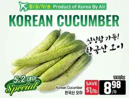 Galleria Supermarket KOREAN CUCUMBER offer