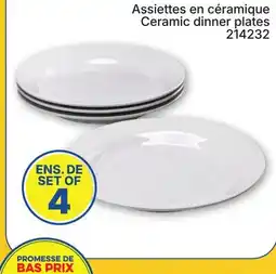 Rossy Ceramic dinner plates offer