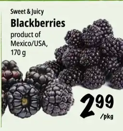 Farm Boy Sweet & Juicy Blackberries offer