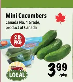 Farm Boy Mini Cucumbers offer