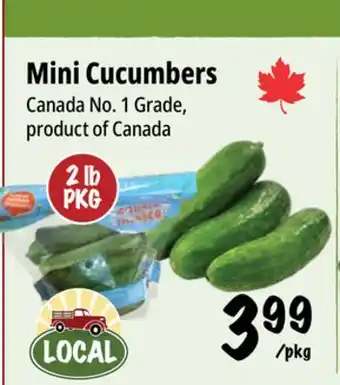 Farm Boy Mini Cucumbers offer