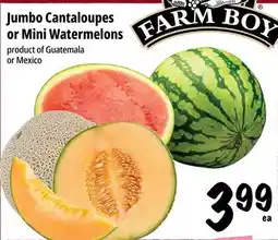 Farm Boy Jumbo Cantaloupes or Mini Watermelons offer