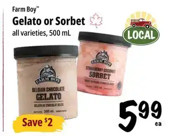 Farm Boy Farm Boy Gelato or Sorbet offer