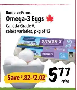 Farm Boy Burnbrae Farms Omega-3 Eggs offer