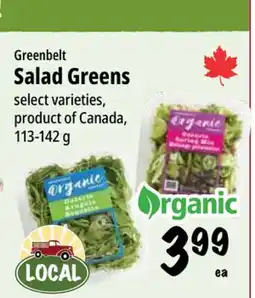 Farm Boy Greenbelt Salad Greens offer
