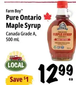 Farm Boy Farm Boy Pure Ontario Maple Syrup offer