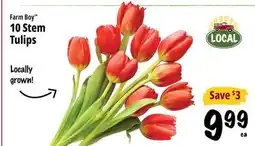 Farm Boy Farm Boy 10 Stem Tulips offer