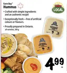 Farm Boy Farm Boy Hummus offer