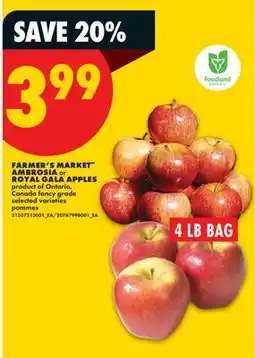 No Frills FARMER'S MARKET AMBROSIA or ROYAL GALA APPLES offer