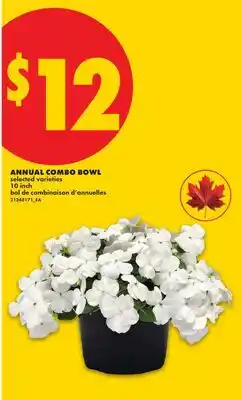 No Frills ANNUAL COMBO BOWL, 10 INCH offer