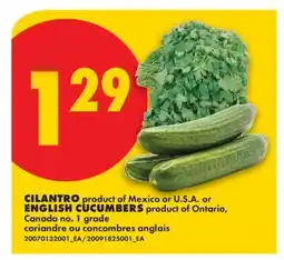 No Frills CILANTRO OR ENGLISH CUCUMBERS offer