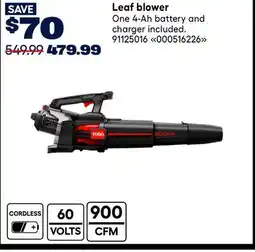 RONA TORO Leaf blower offer