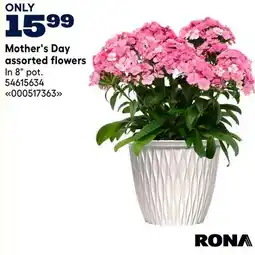 RONA Mother's Day assorted flowers offer