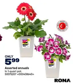 RONA RONA Assorted annuals offer