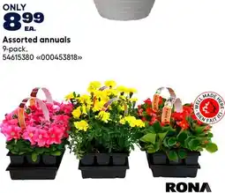 RONA RONA Assorted annuals offer