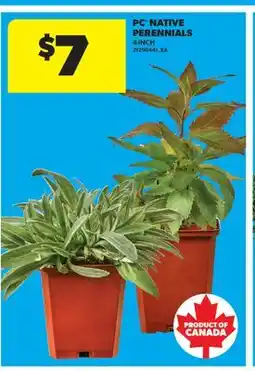 Real Canadian Superstore PC NATIVE PERENNIALS, 4 INCH offer