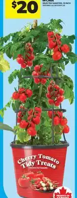 Real Canadian Superstore PC VEGETABLES IN CAGE, 10 INCH offer