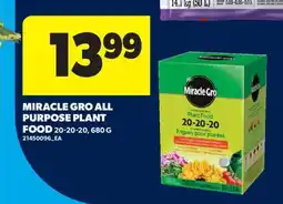 Real Canadian Superstore MIRACLE GRO ALL PURPOSE PLANT FOOD, 20-20-20 offer