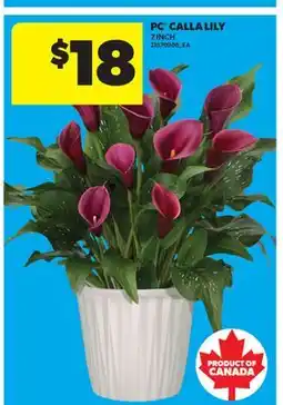 Real Canadian Superstore PC CALLA LILY, 7 INCH offer