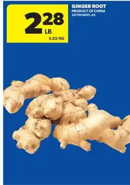 Real Canadian Superstore GINGER ROOT offer