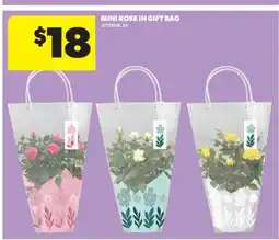 Real Canadian Superstore MINI ROSE IN GIFT BAG offer