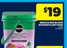 Real Canadian Superstore MIRACLE GRO BLOOM BOOSTER PLANT FOOD offer