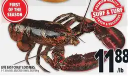 Metro LIVE EAST COAST LOBSTERS offer