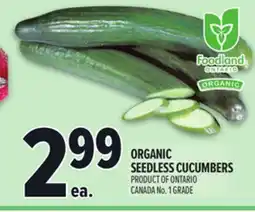 Metro ORGANIC SEEDLESS CUCUMBERS offer