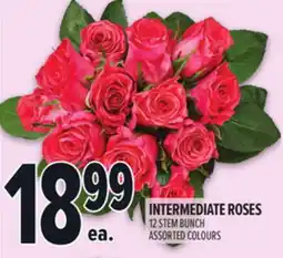 Metro INTERMEDIATE ROSES offer