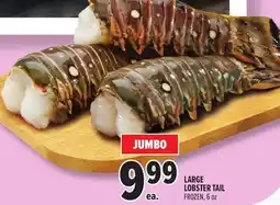Metro LARGE LOBSTER TAIL offer