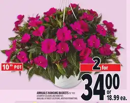 Metro ANNUALS HANGING BASKETS offer