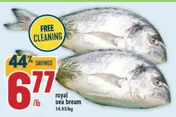 Marché Adonis ROYAL SEA BREAM offer
