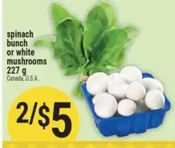 Marché Adonis spinach bunch or white mushrooms offer
