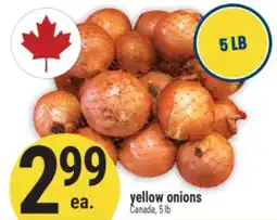 Marché Adonis YELLOW ONIONS offer