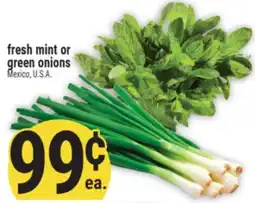 Marché Adonis FRESH MINT OR GREEN ONIONS offer