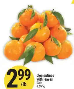 Marché Adonis CLEMENTINES WITH LEAVES offer