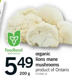 Fortinos ORGANIC LIONS MANE MUSHROOMS offer