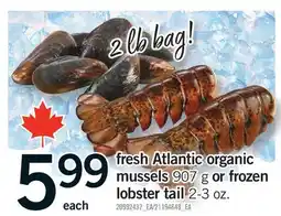 Fortinos fresh Atlantic organic mussels 907 g or frozen lobster tail 2-3 oz offer