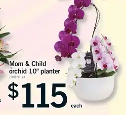 Fortinos MOM & CHILD ORCHID 10 PLANTER offer
