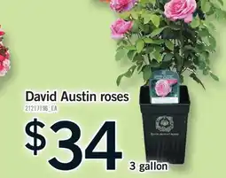 Fortinos DAVID AUSTIN ROSES, 3 GALLON offer