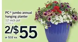 Fortinos PC JUMBO ANNUAL HANGING PLANTER, V offer