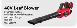 Home Hardware 40V Leaf Blower offer