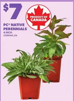 Loblaws PC NATIVE PERENNIALS, 4 INCH offer