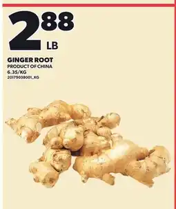 Loblaws GINGER ROOT offer