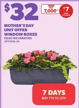 Loblaws MOTHER'S DAY UNIT OFFER WINDOW BOXES offer