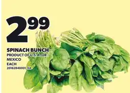 Loblaws SPINACH BUNCH offer